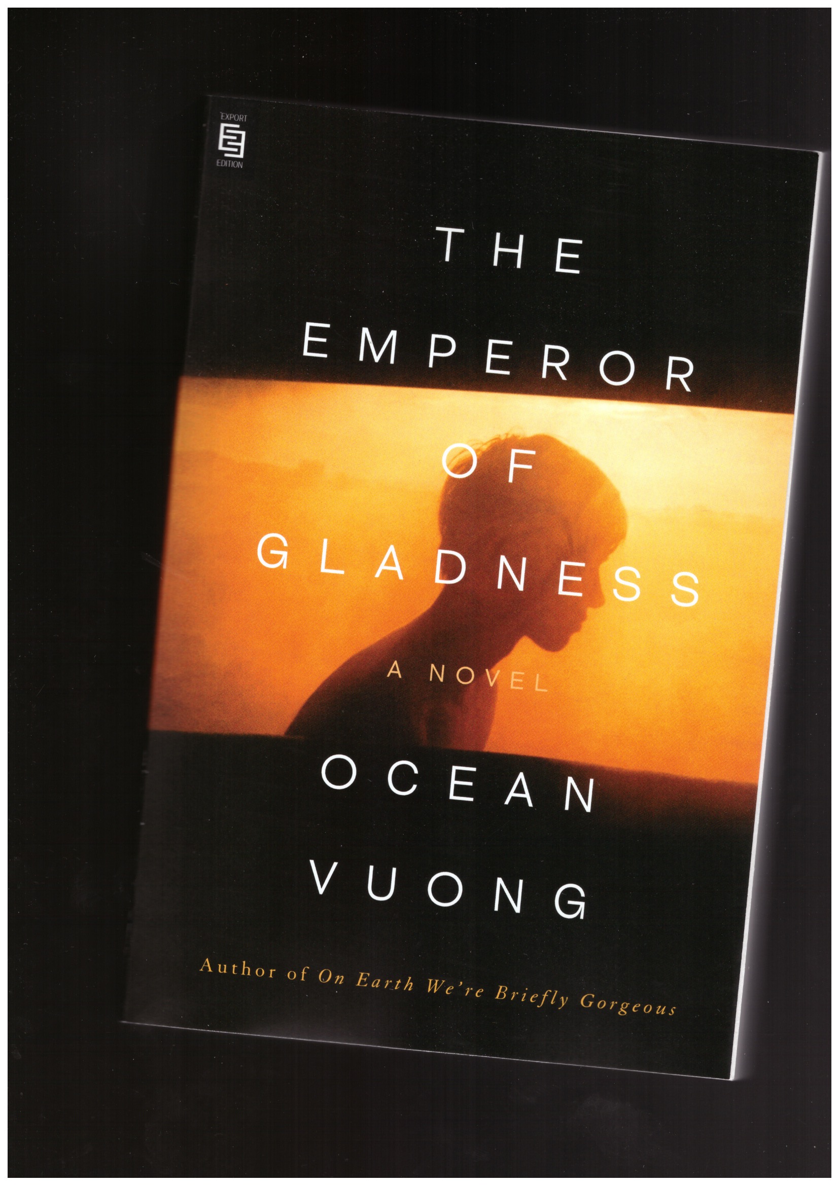 VUONG, Ocean - The Emperor of Gladness